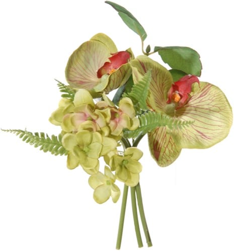 [A-012077] Orchidee Hortensia Bundel Groen 20 cm per bundel