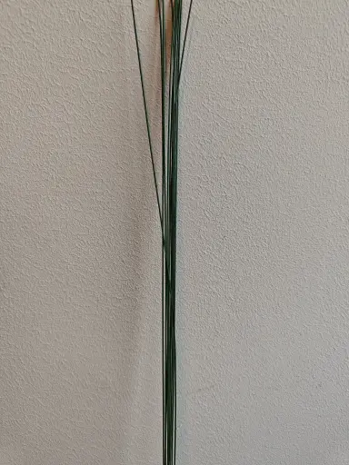 [A-002275] Draad Groen gelakt bloemendraad PookDraad 1,5 mm 40 cm 50 gr kleinverpakking 