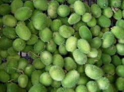 [A-017969] Cucumis Dipsaceus sierkomkommertjes zaden kleinverpakking