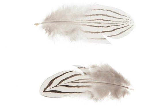 [A-022046] Gestreepte Veertjes Naturel 6 cm doos 25 stuks