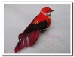 [A-012066] Vogeltje de luxe Rood doos 12 stuks