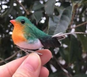 [A-023914] Vogeltjes Robin met clip 12 stuks