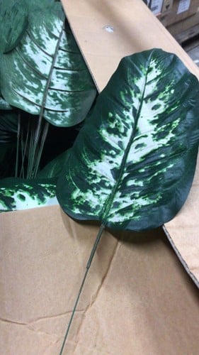 [A-004062] Dieffenbachia Blad Donkergroen Gestreept Zijdenblad