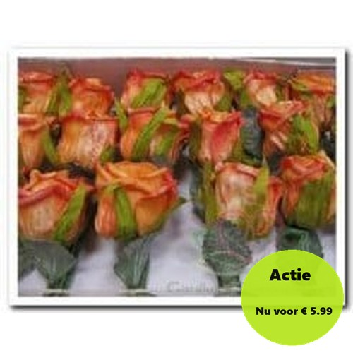[A-005015] Foamroos Elegant Oranje Comb 5 cm doosje 36 stuks