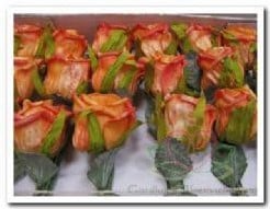 [A-005015] Foamroos Elegant Oranje Comb 5 cm doosje 36 stuks