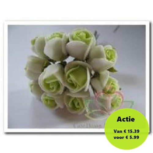 [A-005462] Mini Foam Roos Groen Creme 2 cm Doos 144 stuks