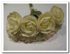 [A-006832] Camelia Roos Creme Foambloem 4 cm doos