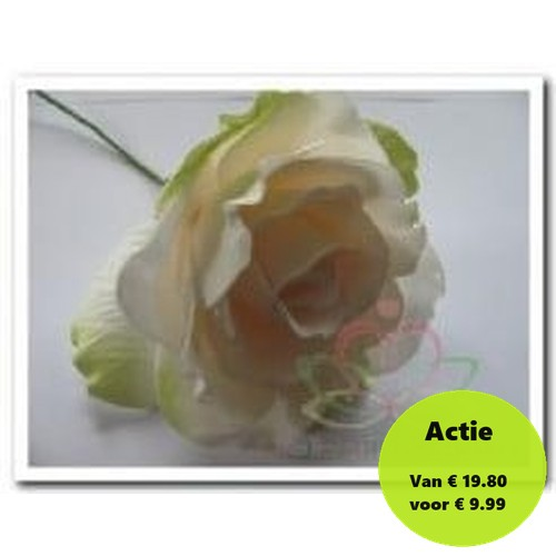 [A-007584] Foamroos Sophie Cremepeach Groen 14 cm Doos 12 stuks