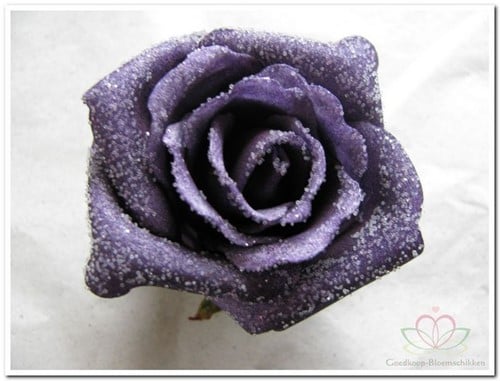 [A-008097] Foamroos Emilia Snow Purple 6 cm doos 42 stuks 