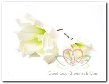 [A-009319] Magnolia Soft Groen Foambloem Kort doos 12 stuks