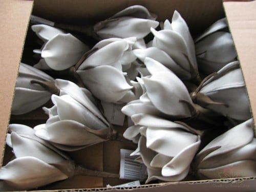 [A-009326] Magnolia Taupe Foambloem Kort doos 12 stuks