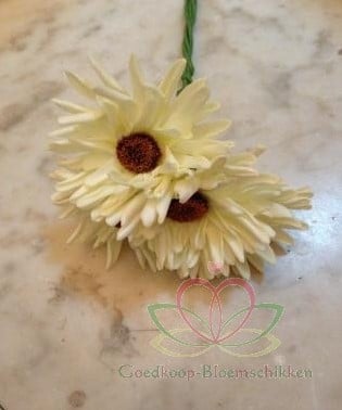 [A-009366] Aster Gerbera Crème Groen Foambloem Doos 30 stuks