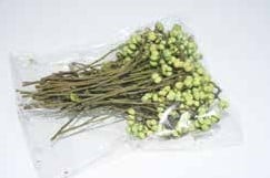 [A-011810] Mini Berries Lichtgroen 50 gram