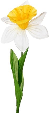 [A-013354] Narcis Zijdenbloem Wit Geel per stuk
