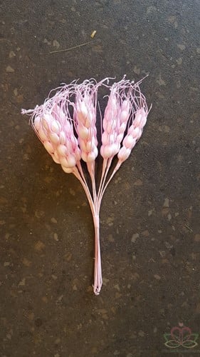 [A-014031] Gerst Foam Zachtroze bundel ca. 10