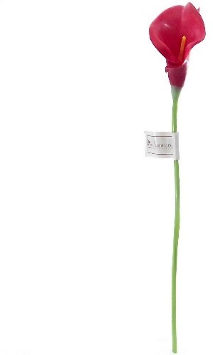 [A-014570] Calla Real Touch Rood 7 cm 37 cm lang per stuk
