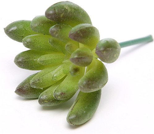 [A-015021] Latex Succulent Groen Rood 6,5 cm per stuk