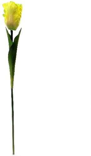 [A-015438] Parkiettulp Geel Zijden 56 cm per stuk