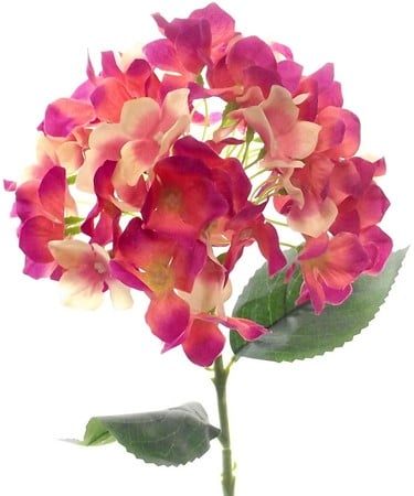 [A-015441] Hortensia Hydrangea Beauty Zijdenbloem Single 45 cm