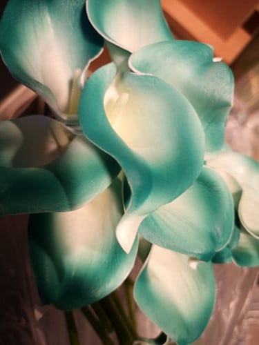 [A-015778] Calla Real Touch Teal Groen Edge 7 cm 37 cm lang per stuk