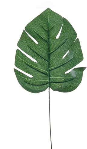 [A-015780] Monstera Blad Zijdenbloem Botanical Style