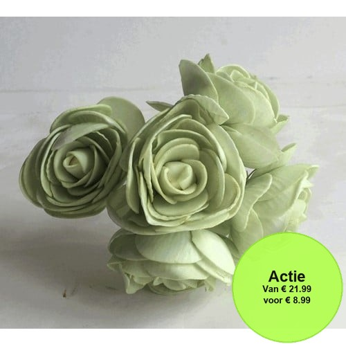 [A-015879] Ranonkels foam Cool Groen 6 cm doos 30 stuks