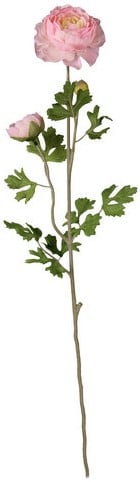 [A-017490] Ranonkel vertakt Roze 70 cm boeket