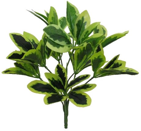 [A-019548] Euphorbia Spray Variegated Boeketvuller