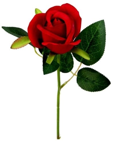[A-019580] Zijden Roos Valentijnroos Single Short Stem Rosebud Rood met Blad per stuk