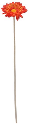 [A-019764] Gerbera Oranje Zijdenbloem 54 cm per stuk