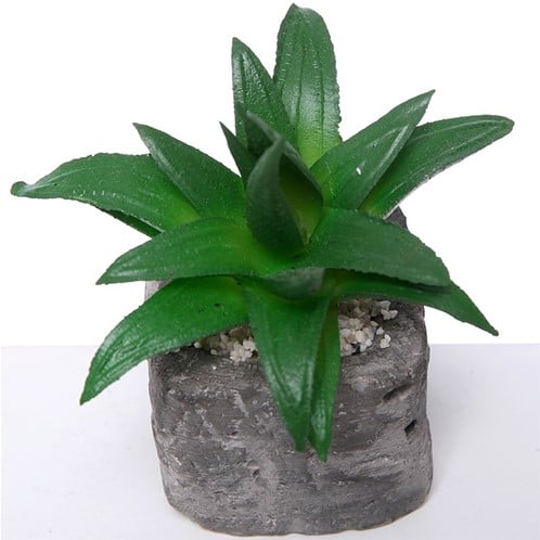 [A-019777] Succulent in Steeneffectpotje 8 cm per stuk