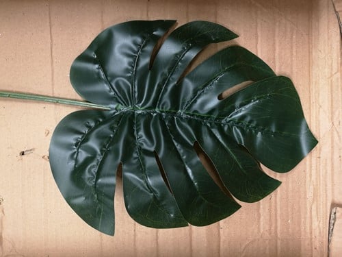 [A-022460] Blad Gatenplant Groot Botanical Split Philo Leaf per stuk