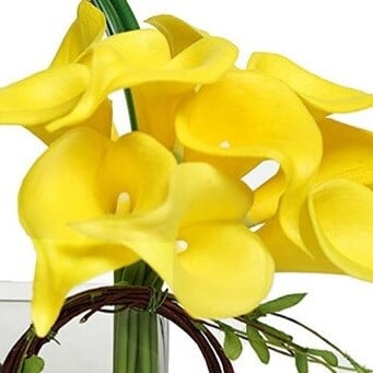 [A-022549] Calla Real Touch Yellow 7 cm 37 cm lang per stuk