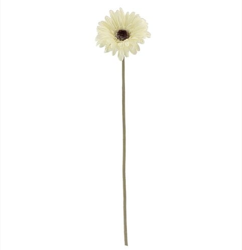 [A-024552] Gerbera 53 cm Creme Zijden bloemen / st 