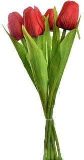 [A-027432] Tulpen Rood Zijden Merk: PURE 35 cm Bundel 7 stuks