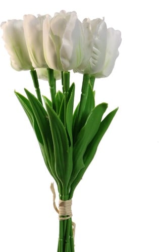 [A-027438] Tulpen Wit Ivory Creme Zijden Merk: PURE 33 cm Bundel 7 stuks