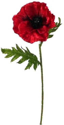 [A-027549] Papaver Poppy Rood Zijden 57 cm stuk