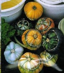 [A-000007] Aladdin pompoen 5000 zaden