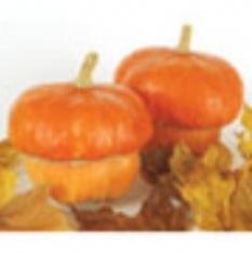 [A-000034] Mini rood Turban pompoen 5000 zaden