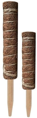 [A-022375] Mosstok Kokosstok planten totems set 50 + 30 cm