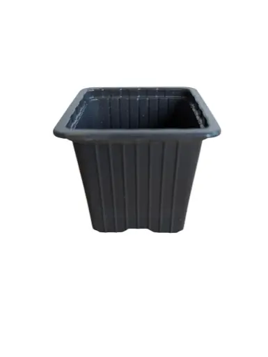 [A-022966] Kweekpotten Vierkant Zwart 7x7x6 cm pak ca. 25 stuks
