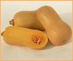 [A-018526] Butternut Victory F1 flespompoen basiseenheid