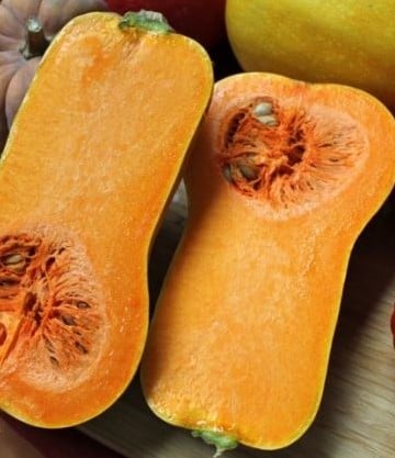 [A-023690-3] Butternut Helviz F1 Hoogproductive flespompoen 50 zaden