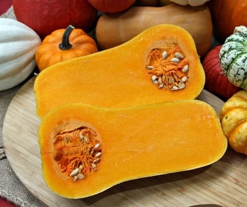[A-023691-4] Butternut Emily F1 Vroege flespompoen 250 zaden