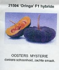 [A-000975] Oringo pompoen zaden