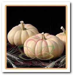 [A-009217] Autumn Crown F1 muskaatpompoen zaden