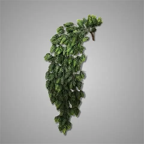 [A-027782] Brynxz Hop Humulus Kunstplant Groen Hanger vuller 73 cm  