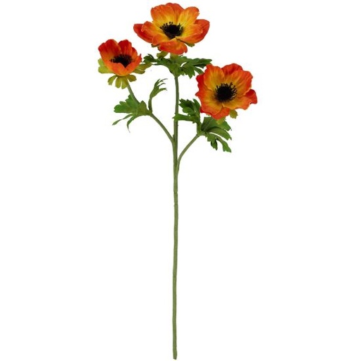 [A-028046] Anemoon Oranje Zijdenbloem 56 cm per stuk