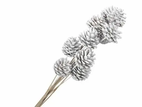 [A-028227] Dennenappels op stick bijsteker White 50 cm 10 stuks 
