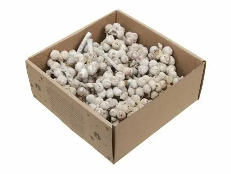 [A-028230] Eikeltjes op Steel White Wash 440 gr 